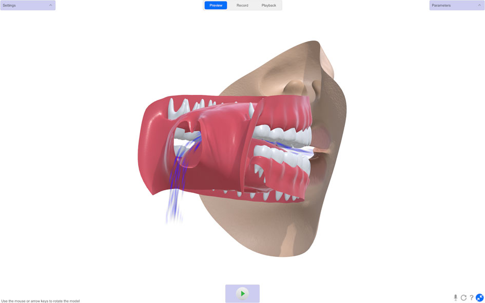 NasalanceViewer 3D 04