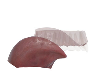 3D tongue and hard palate /a/