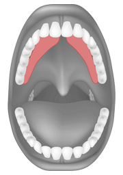 Tongue palate contact for /s/ and /z/