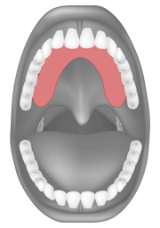 Tongue palate contact for /t/, /d/ and /n/