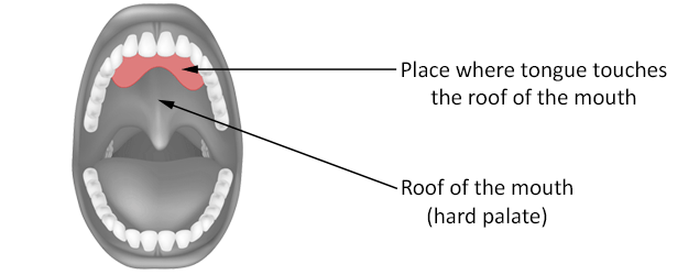 Tongue palate contact