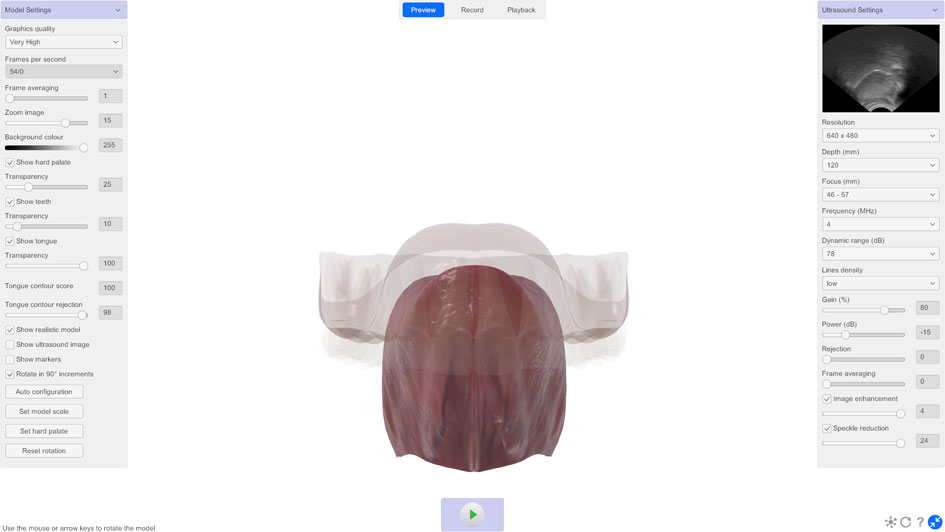 LinguaSound 3D tongue model anterior view showing tongue tip and dorsum