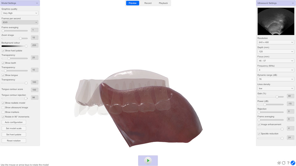 LinguaSound 3D tongue model left lateral view showing tongue dorsum and teeth