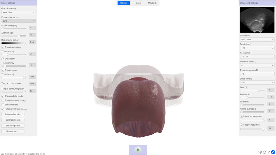 LinguaSound 3D tongue model posterior view showing tongue dorsum and hard palate