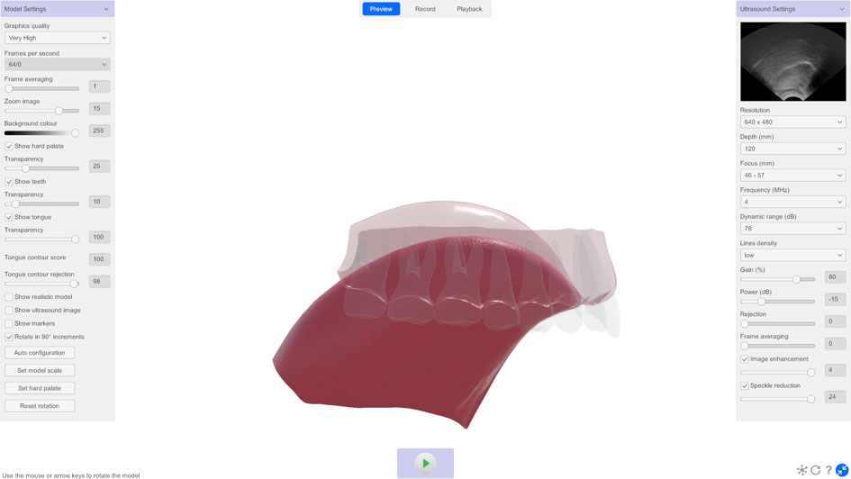 LinguaSound 3D tongue model stylised view showing tongue and hard palate