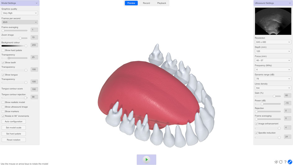 LinguaSound 3D stylised tongue model showing tongue position relative to teeth