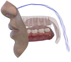 NasalanceViewer 3D • nasal airflow (soft palate lowered)
