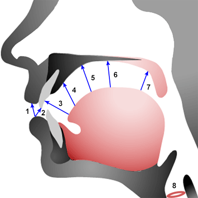 Place of articulation