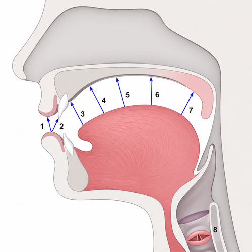 Place of articulation