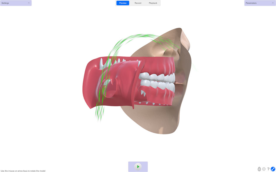 SNORS 3D animated vocal tract model showing nasal inhalation — cross-section view with green airflow streams